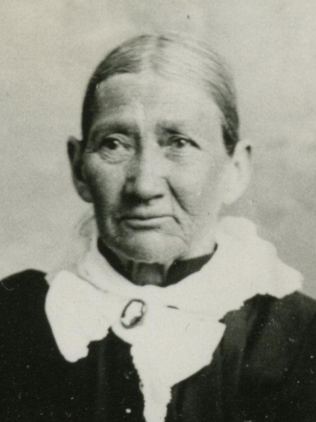 Harriet Atwood Newell (1829 - 1895) Profile